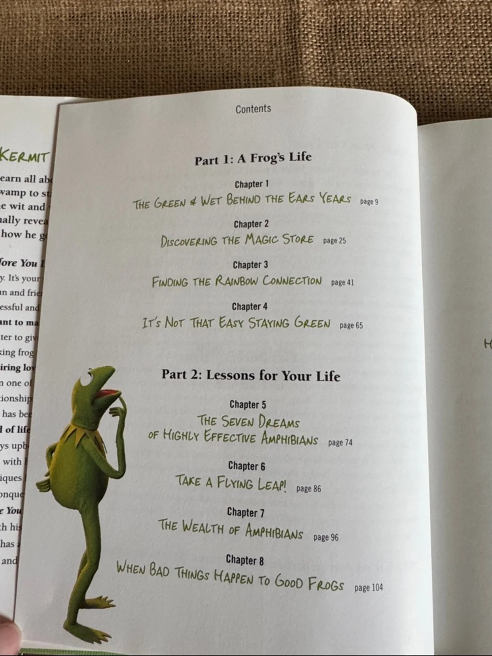 Kermit The Frog Book Before You Leap Life Lessons